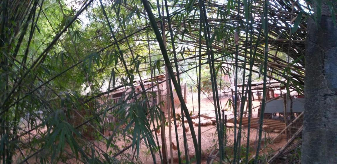 Pousada Sirius São Roque de Minas Esterno foto